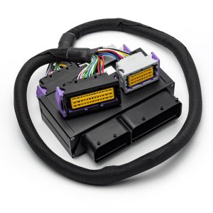 Cablaggio adattatore Ecu Master Emu Black per Fiat 500 Abarth