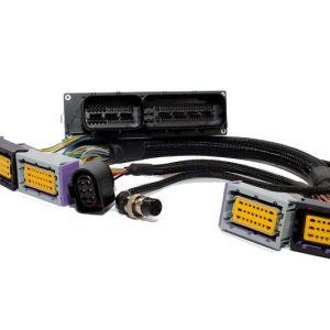 Cablaggio adattatore Ecu Master Emu Classic per Fiat 500 Abarth