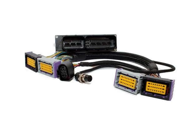 Cablaggio adattatore Ecu Master Emu Classic per Fiat 500 Abarth
